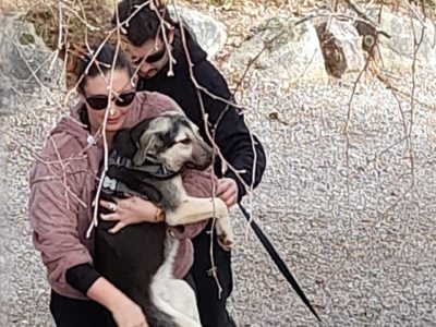 Hélène et Louis, garde de maison et d'animaux
