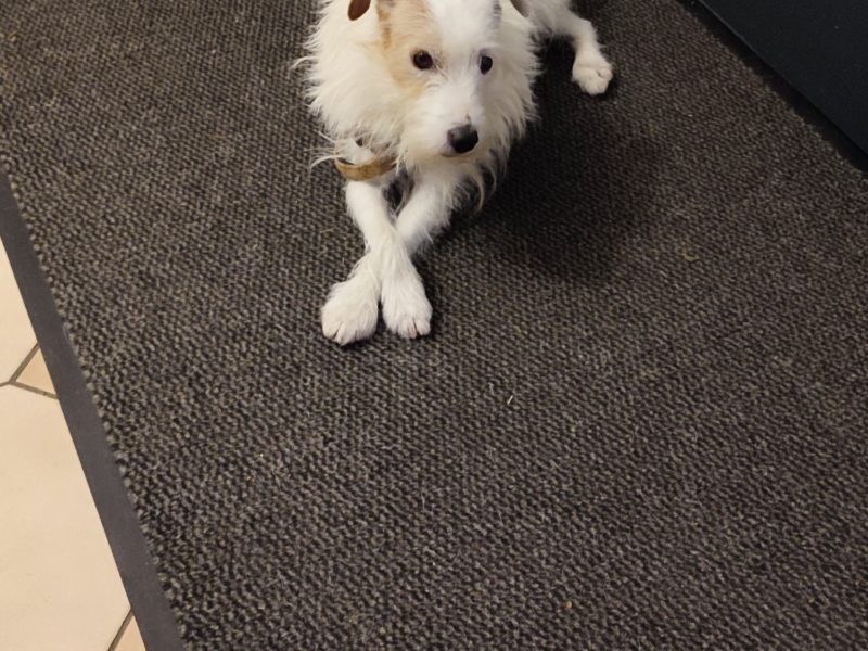 La maison de sylvie et jean