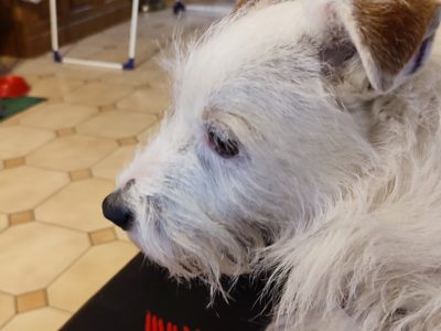 La maison de sylvie et jean