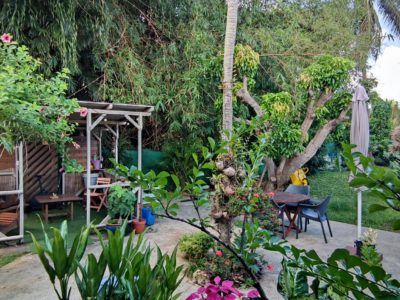 Ecrin de verdure en Guadeloupe