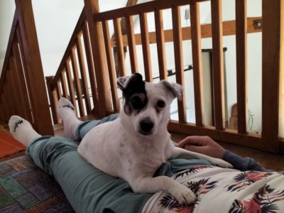 Evelyne et Roger, gardent votre bien, pouponnent vos animaux et entretiennent votre extérieur.