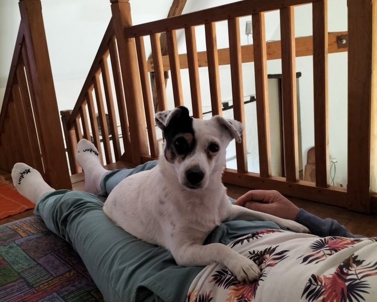 Evelyne et Roger, gardent votre bien, pouponnent vos animaux et entretiennent votre extérieur.