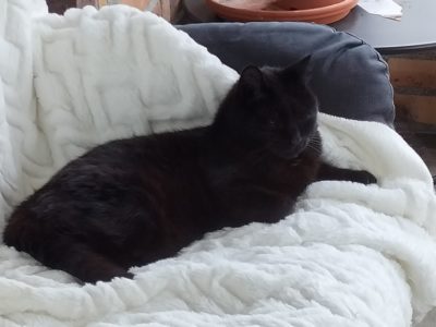 Evelyne et Roger, gardent votre bien, pouponnent vos animaux et entretiennent votre extérieur.