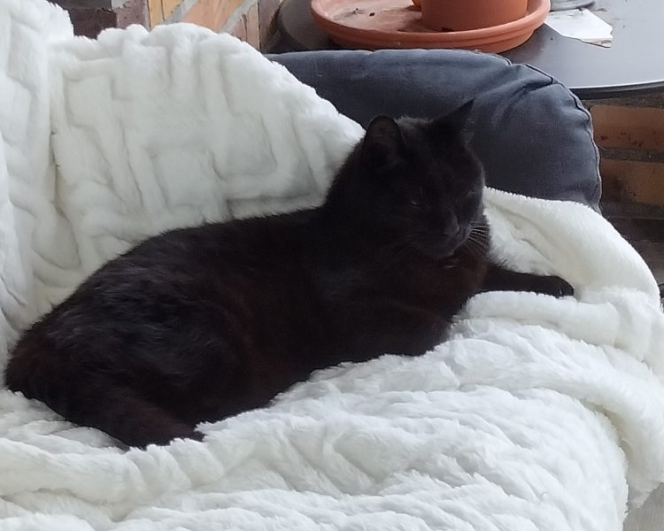 Evelyne et Roger, gardent votre bien, pouponnent vos animaux et entretiennent votre extérieur.