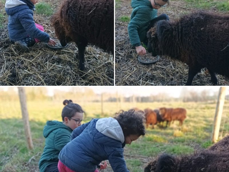 Maison de campagne aux portes de la forêt de Brocéliande